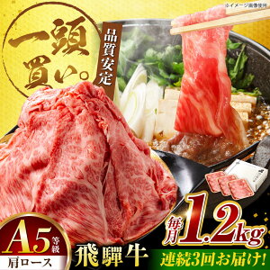yӂ邳Ɣ[Łzy3ցzˋ[X 1.2kg(400g×3pbN) ĂԂԗp / Ă Ԃ  / 䐓 / n͉[AVBO036]