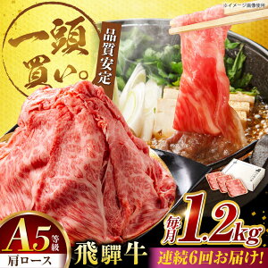 yӂ邳Ɣ[Łzy6ցzˋ[X 1.2kg(400g×3pbN) ĂԂԗp / Ă Ԃ  / 䐓 / n͉[AVBO037]