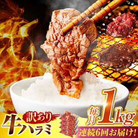 【ふるさと納税】【6回定期便】【訳あり】味付けハラミ 1kg(250g×4パック) / ハラミ 牛肉 焼肉 / 御嵩町 / 馬力家[AVBO043]