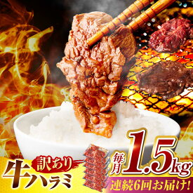 【ふるさと納税】【6回定期便】【訳あり】味付けハラミ 1.5kg(250g×6パック) / ハラミ 牛肉 焼肉 / 御嵩町 / 馬力家[AVBO046]