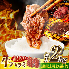 【ふるさと納税】【3回定期便】【訳あり】味付けハラミ 2kg(250g×8パック) / ハラミ 牛肉 焼肉 / 御嵩町 / 馬力家[AVBO048]