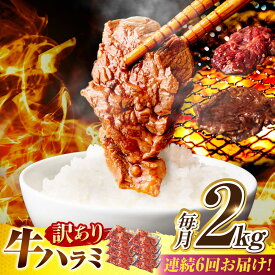 【ふるさと納税】【6回定期便】【訳あり】味付けハラミ 2kg(250g×8パック) / ハラミ 牛肉 焼肉 / 御嵩町 / 馬力家[AVBO049]