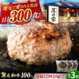 【ふるさと納税】【12回定期便】馬力家特製 超ハンバーグ 3個 / 肉 牛肉 ハンバーグ / 御嵩町 / 馬力家[AVBO065]