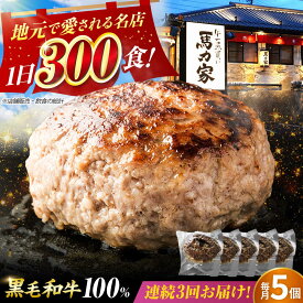 【ふるさと納税】【3回定期便】馬力家特製 超ハンバーグ 5個 / 肉 牛肉 ハンバーグ / 御嵩町 / 馬力家[AVBO066]