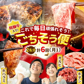 【ふるさと納税】【6回定期便】馬力家セレクト 食卓ごちそう便 (お二人様向けコース) / ハンバーグ 牛タン 肉 詰め合わせ セット 飛騨牛 御嵩町 / 馬力家[AVBO072]