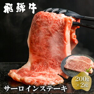 yӂ邳Ɣ[Łz싽 ˋ T[CXe[L 200g×2 v400g  a Xe[L Y  ~ T[C A4ȏ A4 A5 ґ Ⓚ Rč 28000~ [S370]