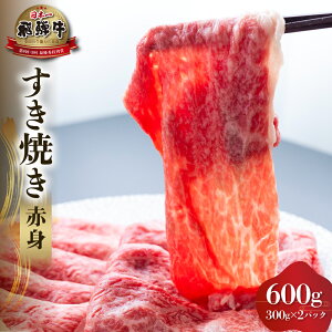 yӂ邳Ɣ[Łzˋ Ԑg Ăp 600g (300g×2)  Y  A4ȏ A4 A5  Rč 򕌌 쑺 싽 ґ Ⓚ 30000~ [S555]