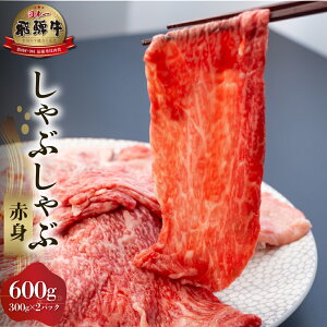 yӂ邳Ɣ[Łzˋ Ԑg Ԃԗp 600g ( 300g ×2)  Y Ă A4ȏ A4 A5  Rč 򕌌 쑺 싽 ґ Ⓚ 30000~ [S559]