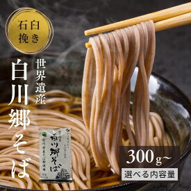 【ふるさと納税】内容量 お届け回数が選べる 世界遺産白川郷そば 2〜3人前 300g 1袋 2袋 定期便3回お届け 蕎麦 ソバ そば 半生そば 年越しそば 年越し蕎麦 年末 ざるそば 麺 常温保存 岐阜県 白川村 4000円 7000円 21000円 [S636]