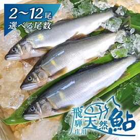 【ふるさと納税】≪選べる≫ 飛騨庄川の天然鮎 白川村産 尾数が選べる 2尾 4尾 6尾 8尾 12尾 18cm以上 鮎 天然 あゆ 魚 川魚 岐阜県 白川郷 世界遺産 塩焼き BBQ 6000円 10000円 15000円 20000円 30000円