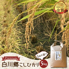 【ふるさと納税】【令和8年産 先行予約】定期便 白川郷 戸ヶ野のこしひかりプレミアム 5kg 6回お届け 事前予約 こだわりのお米 精米 コシヒカリ 岐阜県 飛騨 世界最高米認定農家 大田ファーム 120000円 [2026年11月〜発送開始] [S365]