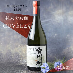 yӂ邳Ɣ[Łzs\ ʌ 쑺đ CUVEE45  { 720ml 1{ 쑺Y Rc ܂ɂ Xn ʂȂ n EY싽 i nӎ𑢓X IWi