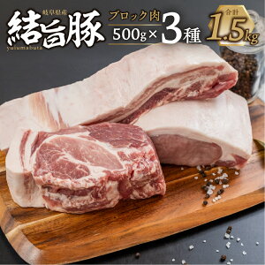 yӂ邳Ɣ[Łz싽 | ubN 3Zbg v1.5kg o [XA[X ubN 500g ؓ Y 쑺 ^pbN  p ē uh 䂢܂Ԃ Hה 20000~