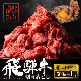 【ふるさと納税】【選べる】飛騨牛 切り落とし 500g 750g 1kg 肉 お肉 柔らか 黒毛和牛 和牛 人気 おすすめ 牛肉 鍋 牛丼 ギフト 切り落し お取り寄せ 白川郷 すき焼き キャンプ バーベキュー しゃぶしゃぶ 訳あり だるまミート [s931] 10000円 1万円 14000円18000円