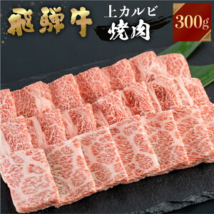 yӂ邳Ɣ[Łzˋ ēp Jr 300g Ă ē  Ε ~   ~ JA BBQ o[xL[ Ε Mtg a   Y   J a LO 