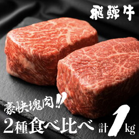 【ふるさと納税】飛騨牛 ブロック [塊] 霜降り肉 赤身肉 500g×2 合計1kg 牛肉 和牛 ブロック肉 国産肉　ローストビーフ におすすめ真空パック かたまり肉　黒毛和牛 肉 バーベキュー BBQ キャンプ ステーキ　霜降り　赤身 [S090]