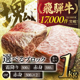 【ふるさと納税】【発送月が選べる】飛騨牛 ブロック肉 1kg 牛肉 ローストビーフ ステーキ 霜降り 赤身 500g JA飛騨 肉 食べ比べ 訳あり 訳アリ 部位お任せ 不揃い 規格外 真空パック 黒毛和牛 BBQ 焼肉 キャンプ 人気 ランキング 白川村 [S090] 12月 年内発送 年内お届け