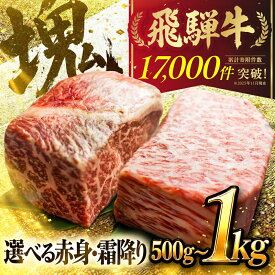 【ふるさと納税】【発送月が選べる】飛騨牛 ブロック肉 選べる4タイプ 500g 600g 1kg 赤身 霜降り 牛肉 ローストビーフ ステーキ JA飛騨 食べ比べ 訳あり 部位お任せ 不揃い 規格外 真空パック 黒毛和牛 BBQ 焼肉 キャンプ 人気 ランキング 白川村 [JA004] 12月 年内発送