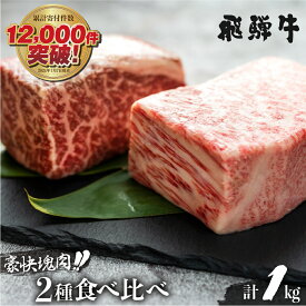【ふるさと納税】飛騨牛 ブロック肉 1kg 発送月が選べる 牛肉 ローストビーフ ステーキ 霜降り 赤身 500g 肉 食べ比べ 訳あり 訳アリ 部位お任せ 不揃い 規格外 真空パック 黒毛和牛 BBQ 焼肉 キャンプ 人気 ランキング 白川村 3万円 30000円 [S090]