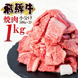 【ふるさと納税】発送時期が選べる 飛騨牛 焼肉 500g×2P 計1kg 小分け 訳あり 訳アリ 不揃い カルビ 牛肉 肉 バーベキュー BBQ 和牛　 贈答 ギフト 焼き肉 切り落とし わけあり ふぞろい ワケアリ 25000円 おすすめ 人気 ランキング 岐阜県 白川村 [S201]