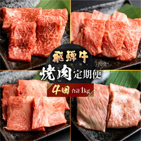 【ふるさと納税】飛騨牛 定期便 4回 焼肉 食べ比べ 250g×4回 焼き肉 牛肉 もも ロース バラ 肩ロース 毎月お届け バーベキュー BBQ JAひだ 40000円 [S401]