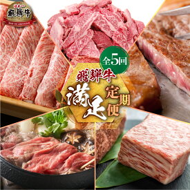 【ふるさと納税】 《定期便》満足 全5回 総量4.4kg お届け 飛騨牛 定期便 肉づくし 白川郷 ブロック おまかせ 焼肉 もも肉 切り落とし サーロイン ステーキ しゃぶしゃぶ すき焼き 食べ比べ 150000円 15万円 国産 黒毛和牛 牛肉 A4 赤身 霜降り JAひだ お楽しみ [S488]