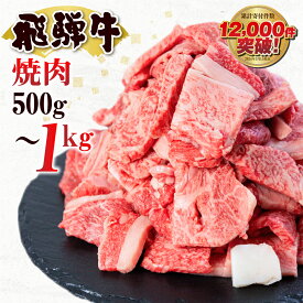 【ふるさと納税】飛騨牛 焼肉 500g 1kg 500g×2P 小分け 訳あり 訳アリ 不揃い カルビ 牛肉 肉 バーベキュー BBQ 和牛 贈答 ギフト 焼き肉 切り落とし わけあり ふぞろい ワケアリ14000円 25000円 おすすめ 人気 ランキング 岐阜県 白川村 [S201]