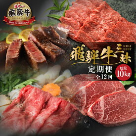 【ふるさと納税】総量約 10kg 《まるごと定期便》12回 飛騨牛三昧 大容量 お届け 肉 肉づくし 白川郷 もも肉 しゃぶしゃぶ すき焼き 500000円 50万 国産 黒毛和牛 牛肉 焼肉 カルビ バラ ヒレ ステーキ A4 A5 肩 ロース 焼肉 赤身 霜降り 食べ比べ 岐阜県 お楽しみ [S600]