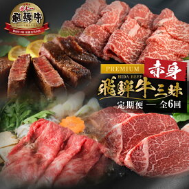 【ふるさと納税】《まるごと定期便》6回 お届け 飛騨牛 赤身三昧 プレミアム 肉 肉づくし 白川郷 ヒレ ステーキ しゃぶしゃぶ すき焼き 187000円 国産 黒毛和牛 牛肉 和牛 焼肉 ブロック A4 A5 肩 ロース 赤身 鍋 なべ 食べ比べ 岐阜県 お楽しみ [S605]