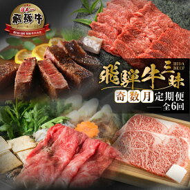 【ふるさと納税】《まるごと定期便》6回 奇数月 厳選 お届け 飛騨牛 三昧 肉 肉づくし 白川郷 もも肉 切り落とし サーロイン ステーキ しゃぶしゃぶ すき焼き120000円 12万円 国産 焼肉 カルビ 牛肉 A4 A5 ロース 焼肉 赤身 霜降り 食べ比べ 岐阜県 白川村 お楽しみ [S633]