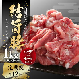 【ふるさと納税】《定期便》選べる お届け回数 全3回 全6回 全12回 結旨豚 ウデ又はモモ 切り落とし 500g×2パック (1kg)冷凍真空パック 肉 お肉 豚肉 国産 食べ比べ セット 白川郷 岐阜県 白川村 ブランド豚 人気 おすすめ ギフト 飛騨高山ミート 30000円 60000円 120000円