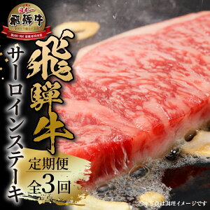 yӂ邳Ɣ[ŁzsցtS3 ˋ T[CXe[L  ˋ ~  200g×2P v400g  3񂨓͂ ˍR~[g 84000~ [MZ109]