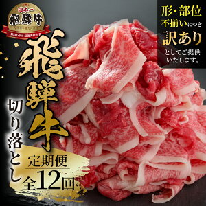 yӂ邳Ɣ[ŁzsցtIׂ ͂ 3 6 12 󂠂 ˋ ؂藎Ƃ 500g  ˋ  ؗ ˍR~[g 30000~ 60,000~ 120,000~