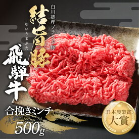 【ふるさと納税】【2026年以降発送】 合挽き ミンチ 500g 結旨豚 飛騨牛 あいびき 合挽 合い挽き 冷凍真空パック | 肉 お肉 和牛 黒毛和牛 豚肉 国産 白川郷 岐阜県 白川村 ブランド豚 人気 おすすめ ギフト 飛騨高山ミート 7000円 [MS030]