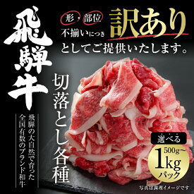 【ふるさと納税】 訳あり 飛騨牛 切落し 選べる 500g or 1kg 冷凍真空パック | 肉 お肉 切り落とし 薄切り すき焼き すきやき 黒毛和牛 和牛 人気 おすすめ 牛肉 ギフト 飛騨高山ミート [MZ011]