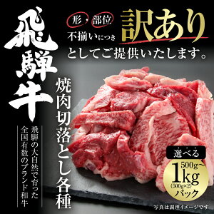 yӂ邳Ɣ[ŁzyNz󂠂 ˋ ē ؂藎Ƃ Iׂ 500g or 1kg Ⓚ^pbN |   ؗ s ē Ă ₫ɂ јa a lC   Mtg 