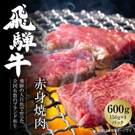 【ふるさと納税】飛騨牛 赤身焼肉 600g（150g×4パック） 冷凍真空パック | 肉 お肉 焼肉 焼き肉 やきにく 黒毛和牛 和牛 個包装 小分け 人気 おすすめ 牛肉 ギフト お取り寄せ [MZ006]