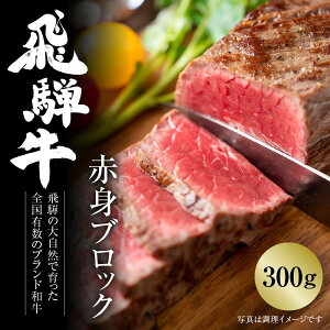yӂ邳Ɣ[Łzˋ ԐgubN[] 300g Ⓚ^pbN |   [Xgr[t ύ ē Ă ₫ɂ BBQ јa a lC   Mtg  ˍR~[