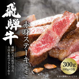 【ふるさと納税】飛騨牛 赤身ステーキ 300g（100g×3） 冷凍真空パック | 肉 お肉 ステーキ モモ肉 黒毛和牛 和牛 人気 おすすめ 牛肉 ギフト お取り寄せ 飛騨高山ミート [MZ025]