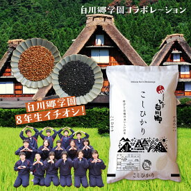 【ふるさと納税】白川郷こしひかり 5kg 古代米 150g×2 セット 同日お届け コシヒカリ 赤米 黒米 13000円[S162]