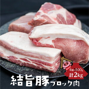 yӂ邳Ɣ[Łz싽 | 򕌌Y ubN 4Zbg v2kg ؓ Ԃ ubN Y ^pbN ܂  o[xL[ BBQ Lv Xe[L [X [X o 