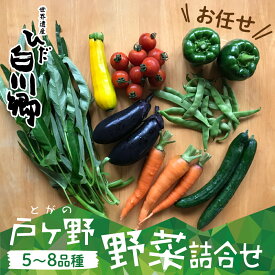 【ふるさと納税】【楽天限定】先行予約 戸ヶ野の野菜セット 5〜8種 白川村 白川郷 野菜 品種 お任せ 詰め合わせ 夏野菜 旬 戸ヶ野野菜詰め合わせ　5〜8種セット トマト なす ピーマン ズッキーニ じゃがいも ごぼう 人参 など 大田ファーム 2024年8月〜順次発送 [S695]