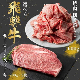 【ふるさと納税】飛騨牛 焼肉 ステーキ 選べる 600g 400g 訳あり 牛肉 肉 和牛 A5 A4 切り落とし カルビ サーロイン 不揃い ギフト 贈答 焼き肉 BBQ バーベキュー お取り寄せ グルメ 岐阜県 白川村 駿河屋 15000円 母の日 父の日 お中元 お歳暮 御祝 [S767]