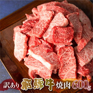 yӂ邳Ɣ[Łz󂠂 ˋ ē ؗ 600g ؂藎Ƃ ʂC    a Ⓚ 򕌌  C BBQ Y s uh 17000~ [S540]