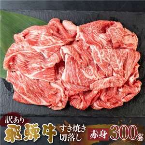yӂ邳Ɣ[Łz󂠂 ˋ Ăp ؗ 300g ؂藎Ƃ Ă Ԑg    a Ⓚ 򕌌 ʂC ` s Y uh 10000~ [S542]
