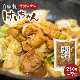 【ふるさと納税】【年内発送】選べる 白川郷 自家製 けいちゃん 250g 2〜7袋セット お試し 鶏肉 味付け肉 味噌味 焼肉店オリジナル 簡単おかず 冷凍 味付き 郷土料理 白川村 てんから アウトドア BBQ 簡易梱包 訳あり 訳アリ 5000円 12000円 [S287]