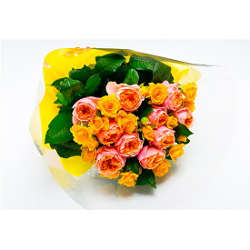 【ふるさと納税】バラの花束　ミックス20本【配送不可：離島】　【植物】