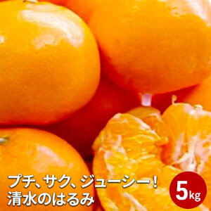yӂ邳Ɣ[Łzy2026N2{菇zv`ATNAW[V[Î͂ 5kg yzsFz | ʕށEkށEt[cE݂
