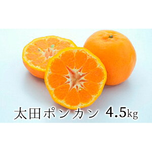 yӂ邳Ɣ[Łzy2026N1菇zÉ܂̔kEc|J 4.5kg | ʕށEkށEt[cE݂E~JE|J