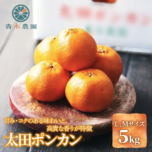 yӂ邳Ɣ[Łzy2026N1{菇zؔ_ c|J 5kgyzsFz | ʕށEkށEt[cEc|JE|J